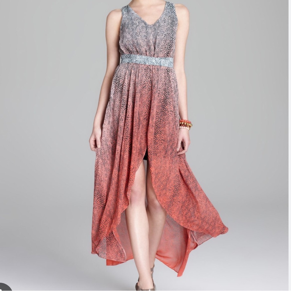 GUESS Cactus Flower Lizard Ombre Hi-Lo Maxi Dress